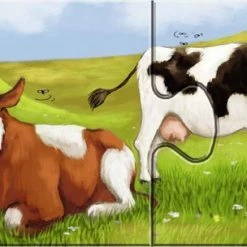 Ravensburger Lieve Dieren- My First Puzzles -9x2 Stukjes - Kinderpuzzel 26 Ravensburger Lieve Dieren- My First Puzzles -9x2 Stukjes - Kinderpuzzel -Exporteren puzzels winkel 550x304 8