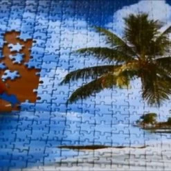 Ravensburger Puzzel Disney Carnival - Legpuzzel - 1000 Stukjes -Exporteren puzzels winkel 550x309 114