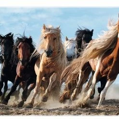Trefl Paarden In Galop Puzzel - 1000 Stukjes -Exporteren puzzels winkel 550x369 3