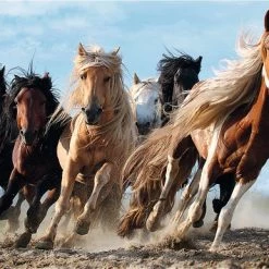 Trefl Paarden In Galop Puzzel - 1000 Stukjes -Exporteren puzzels winkel 550x386 20