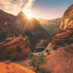 Ravensburger Puzzel Zion Canyon USA - Legpuzzel - 1000 Stukjes -Exporteren puzzels winkel 550x391 62