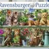 Ravensburger Puzzel Katjes In Het Rek - Legpuzzel - 500 Stukjes 2 Ravensburger Puzzel Katjes In Het Rek - Legpuzzel - 500 Stukjes -Exporteren puzzels winkel 550x392 127