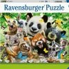 Ravensburger Puzzel Wildlife Selfie - Legpuzzel - 300 Stukjes XXL -Exporteren puzzels winkel 550x392 88