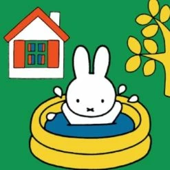 Ravensburger Nijntje. Vier Puzzels -6+9+12+16 Stukjes - Kinderpuzzel 15 Ravensburger Nijntje. Vier Puzzels -6+9+12+16 Stukjes - Kinderpuzzel -Exporteren puzzels winkel 550x531 1