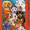 Castorland Legpuzzel Puppies - 1000 Stukjes -Exporteren puzzels winkel 550x749